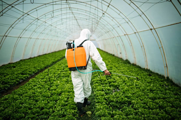 Best Pest Inspection Near Me  in Short Pump, VA