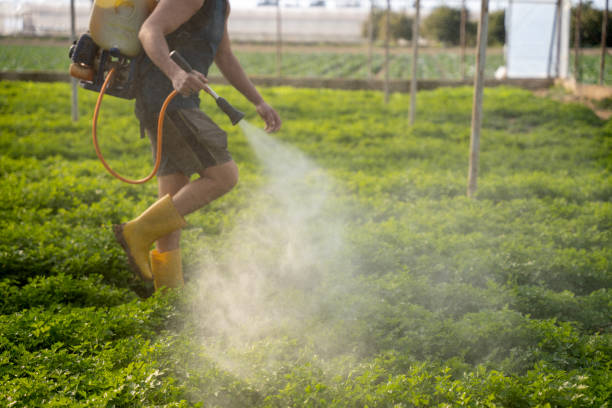 Best Commercial Pest Control Services  in Short Pump, VA